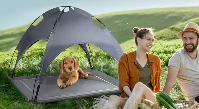 Pet Dog Cot with Removable Canopy